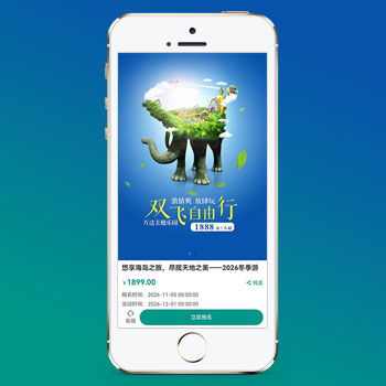 (独立手机版)单页落地页推广网站模板下