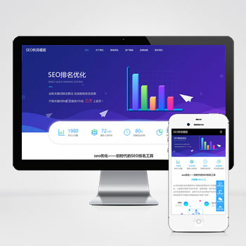 seo快排IT网络软件公司网站模板下载 立即