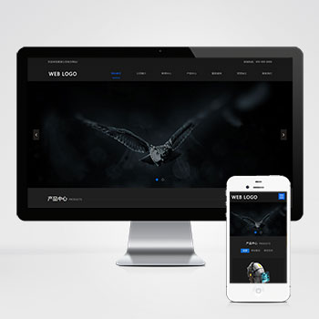 高端摄影酷炫数码网站模板下载 立即下载